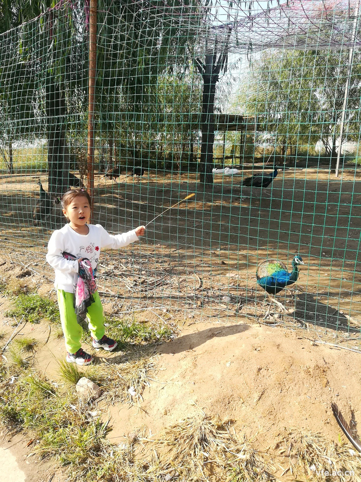 內(nèi)蒙之行，難忘之旅