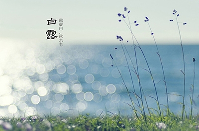白露降，秋意濃