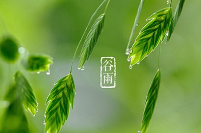 谷雨，播種希望