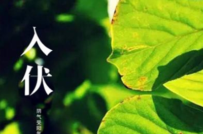 入伏在即，酷暑將至