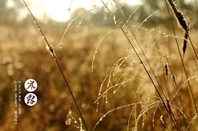 寒露已至，注意添衣防寒